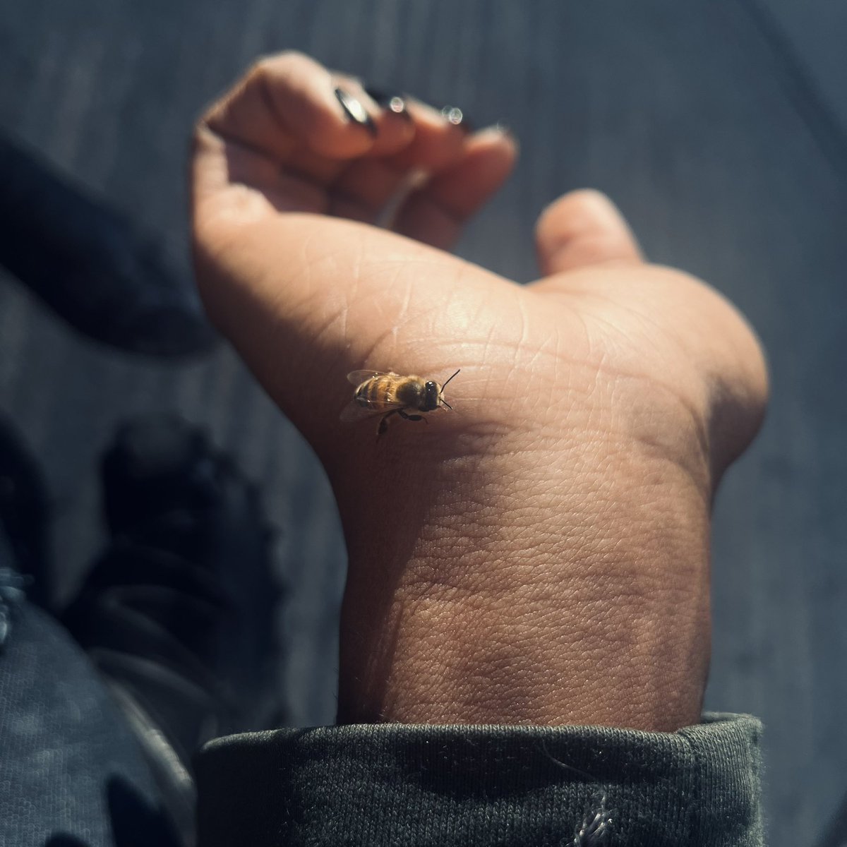 _khaly______'s tweet image. 