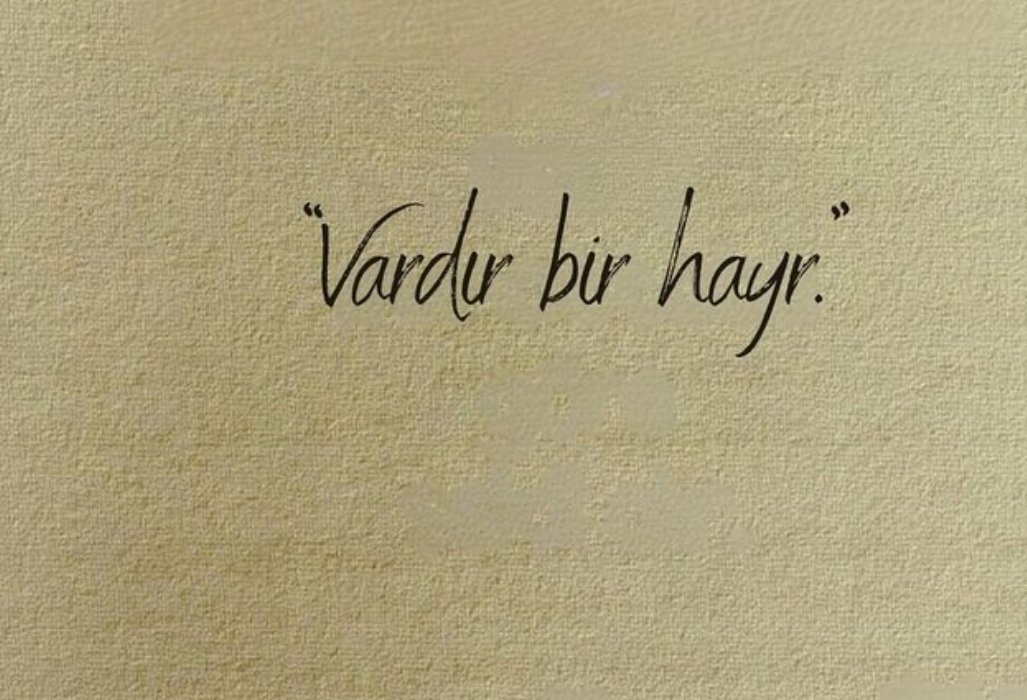 Monna Rosa (@ayaserenat) on Twitter photo 