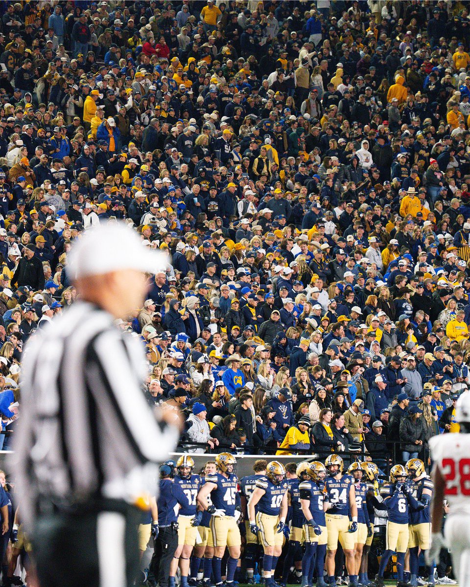 MSUBobcats_FB's tweet image. Bobcat Nation—this championship belongs to you. From sold-out crowds in Bozeman to your unwavering presence at every home game, your energy fueled us every step of the way. You traveled, you cheered, you believed—and when it mattered most, more than 15,000 strong turned Nashville…