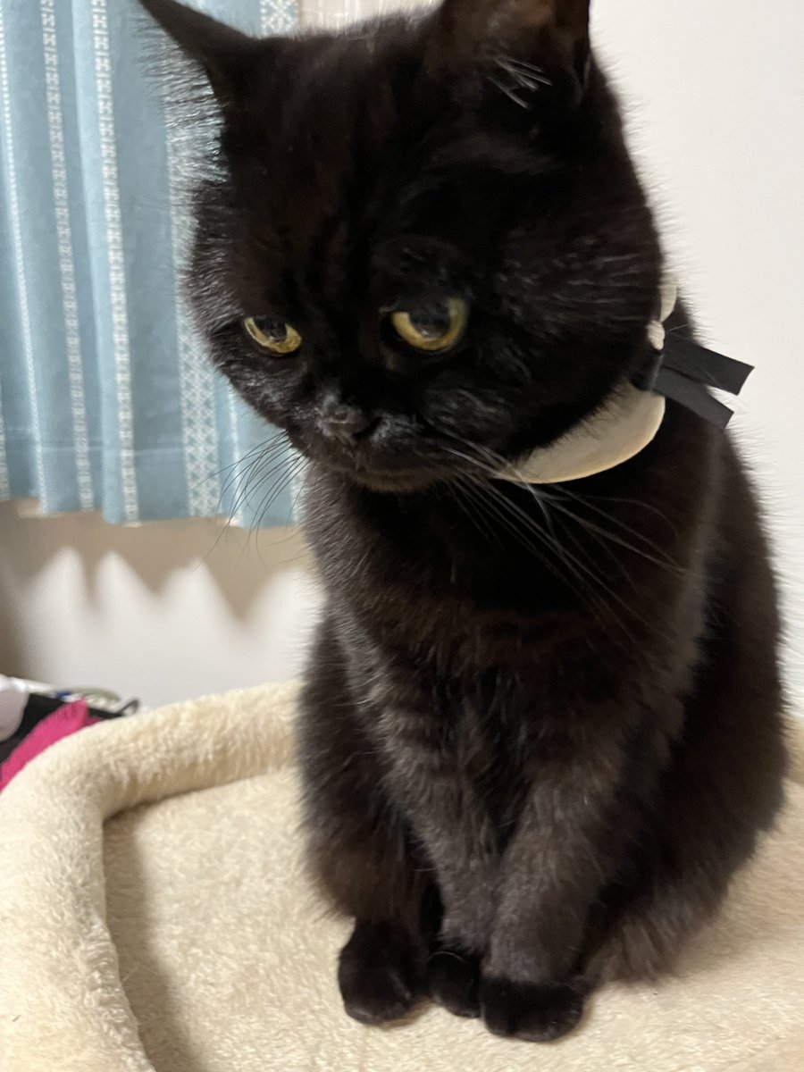 KEI (@KeiKasan7716) / Posts / X