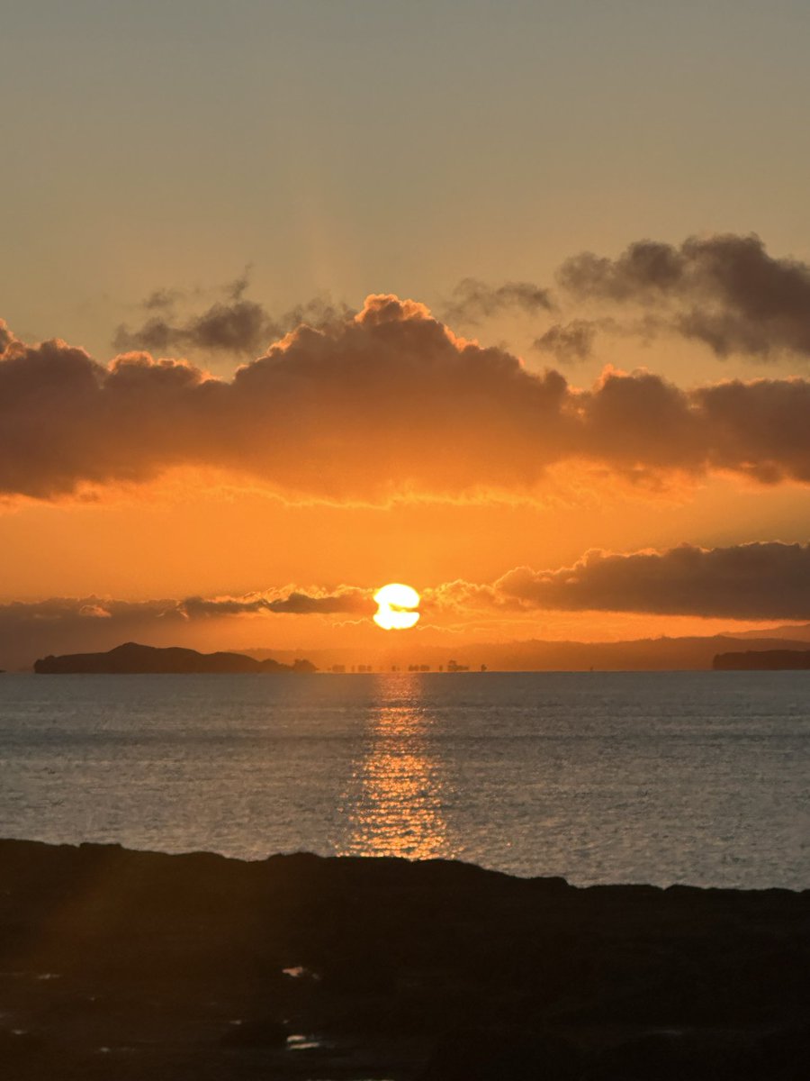 UM from Auckland, New Zealand ☕️ 
(Useless Morning)

Still here.
Still bullish.
Still $USELESS.