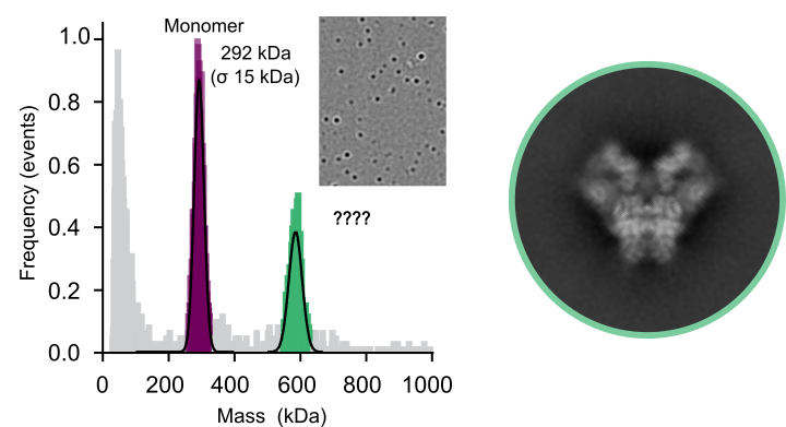 Charles Bayly-Jones tweet media