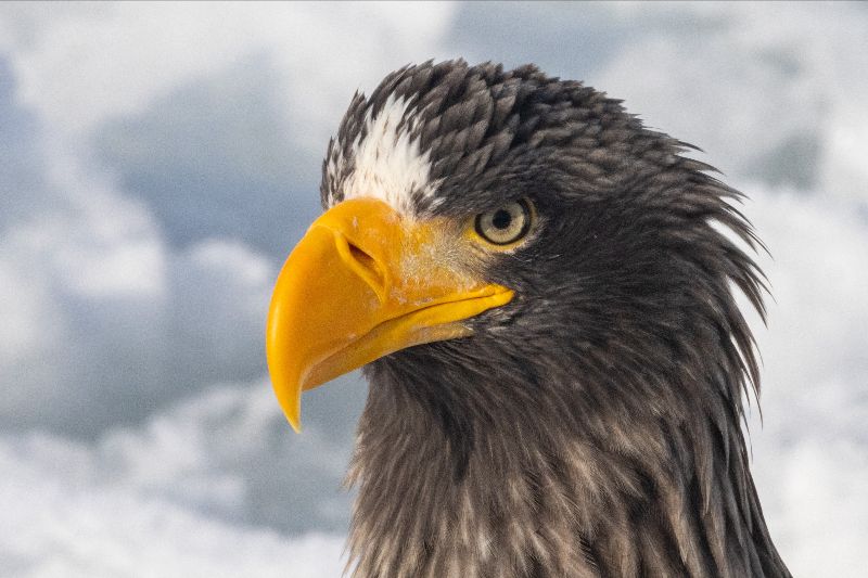 Alvaro's Adventures tweet media