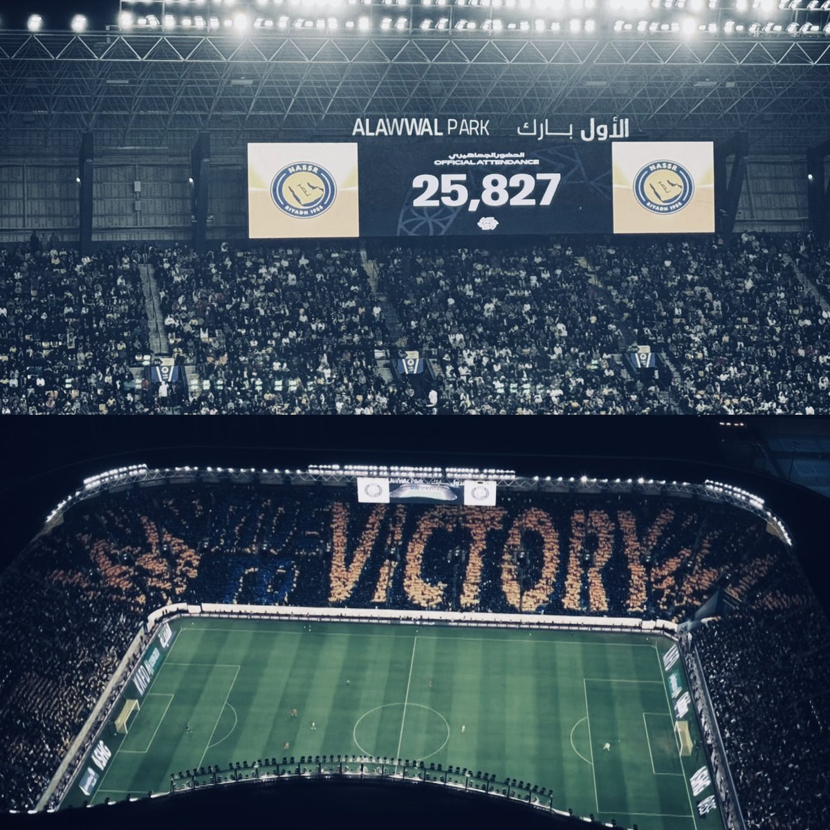داريو النصر tweet media