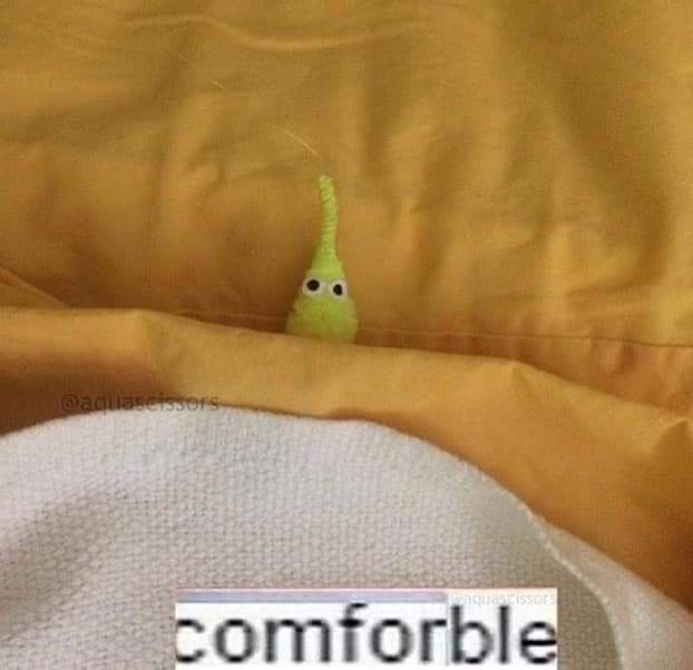 equine__dentist's tweet image. 