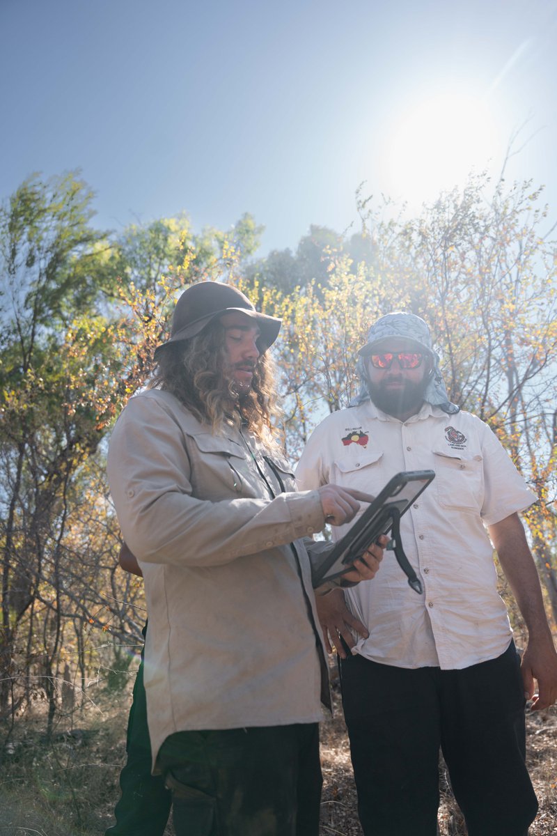 Firesticks tweet media