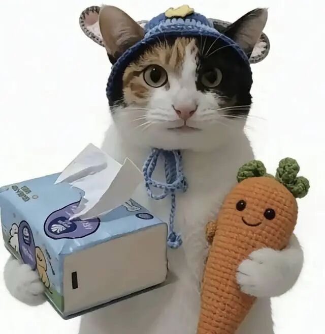 DAKAIMEN_BSC's tweet image. #大开门 
大开门为何能爆火
是因为现实生活中
我们都在察言观色
渴望“真棒”的肯定。
@heyibinance 
抽取100位幸运的小伙伴！
每人2000枚
条件：
只需➕关注
转发本帖带标签 #2026大开门 
评论标签 #币安大开门 ➕地址
Ca:
0x0be4c23bddbf43ec14ebbd27d6ac7c62379f4444

中奖截止时间：…