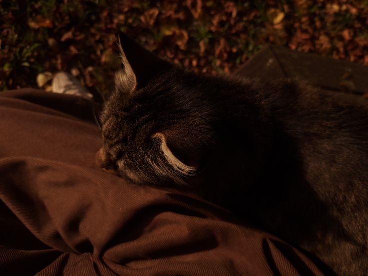 "Göğsümdeki çocuk, başını okşatmıyor inatla.."