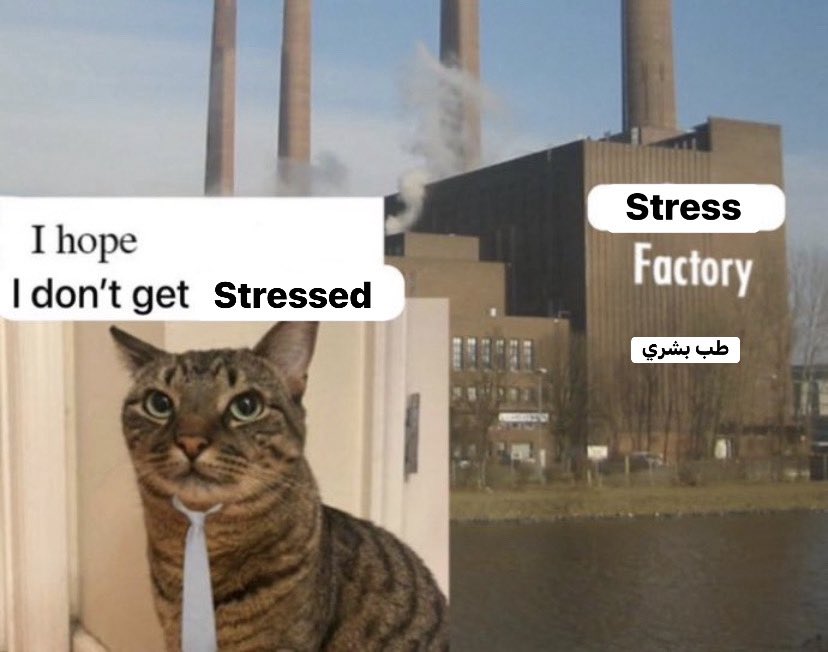 Yousef “wanna migrate” Amer (@yousef__amerr) on Twitter photo 