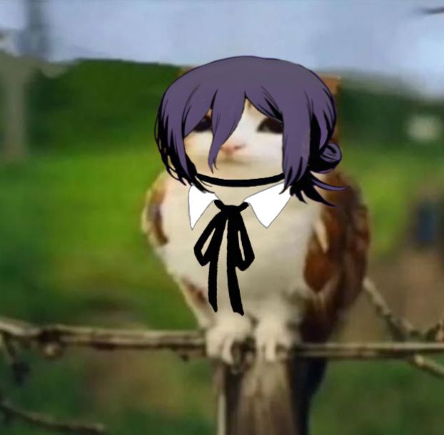 KoltRZ's tweet image. 