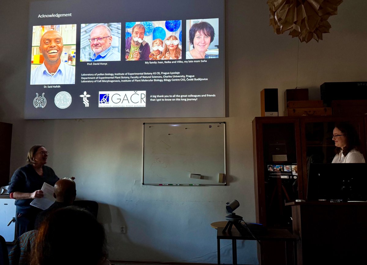 David Honys tweet media