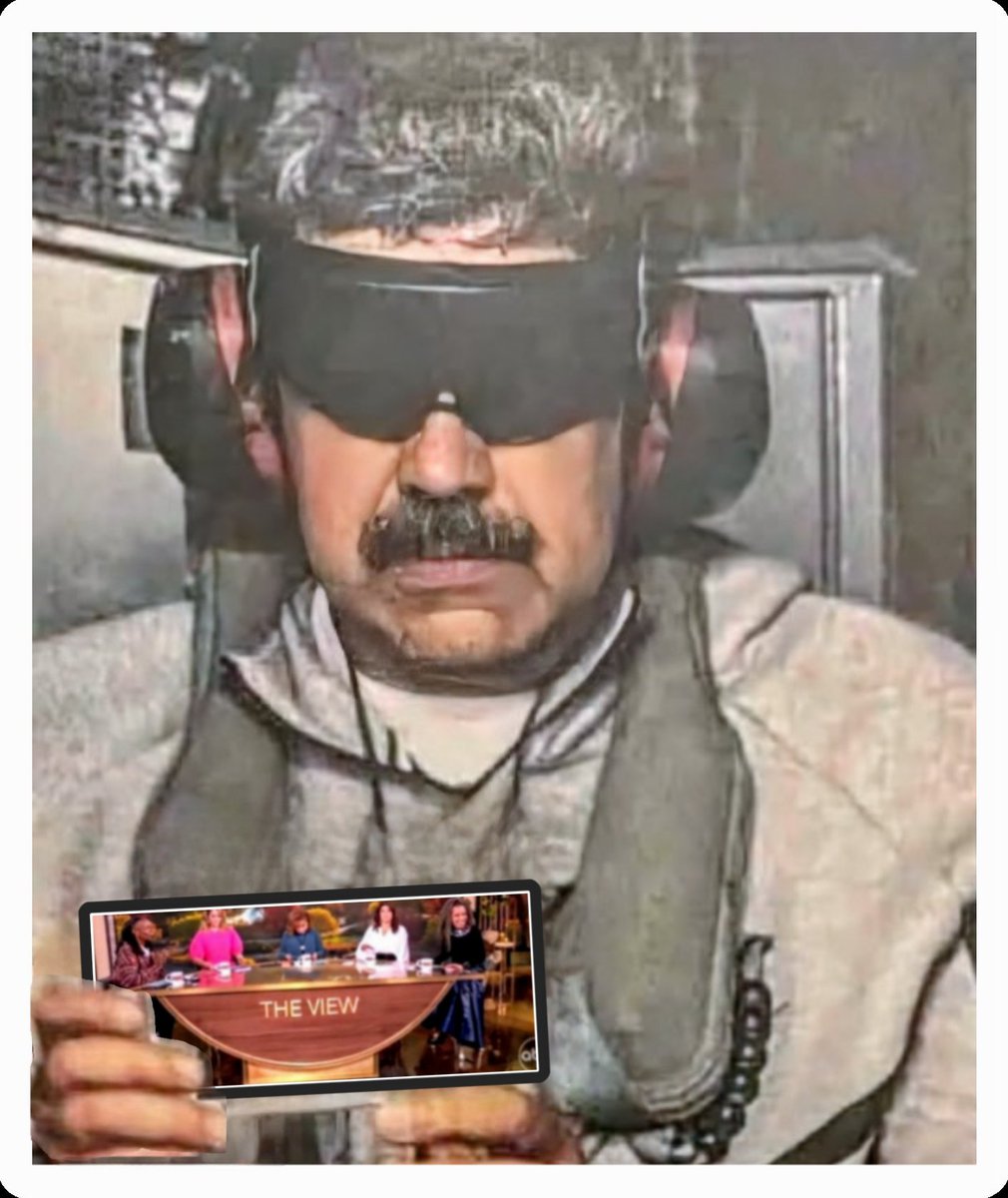 Insufferable Turds tweet media