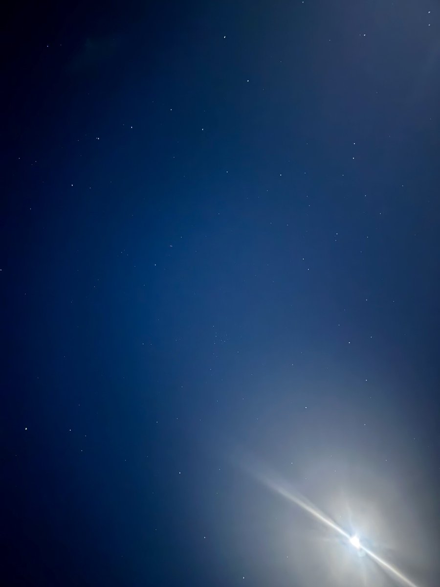 キャサリン (@Xi7ySXjpj2EYGAU) / Posts / X