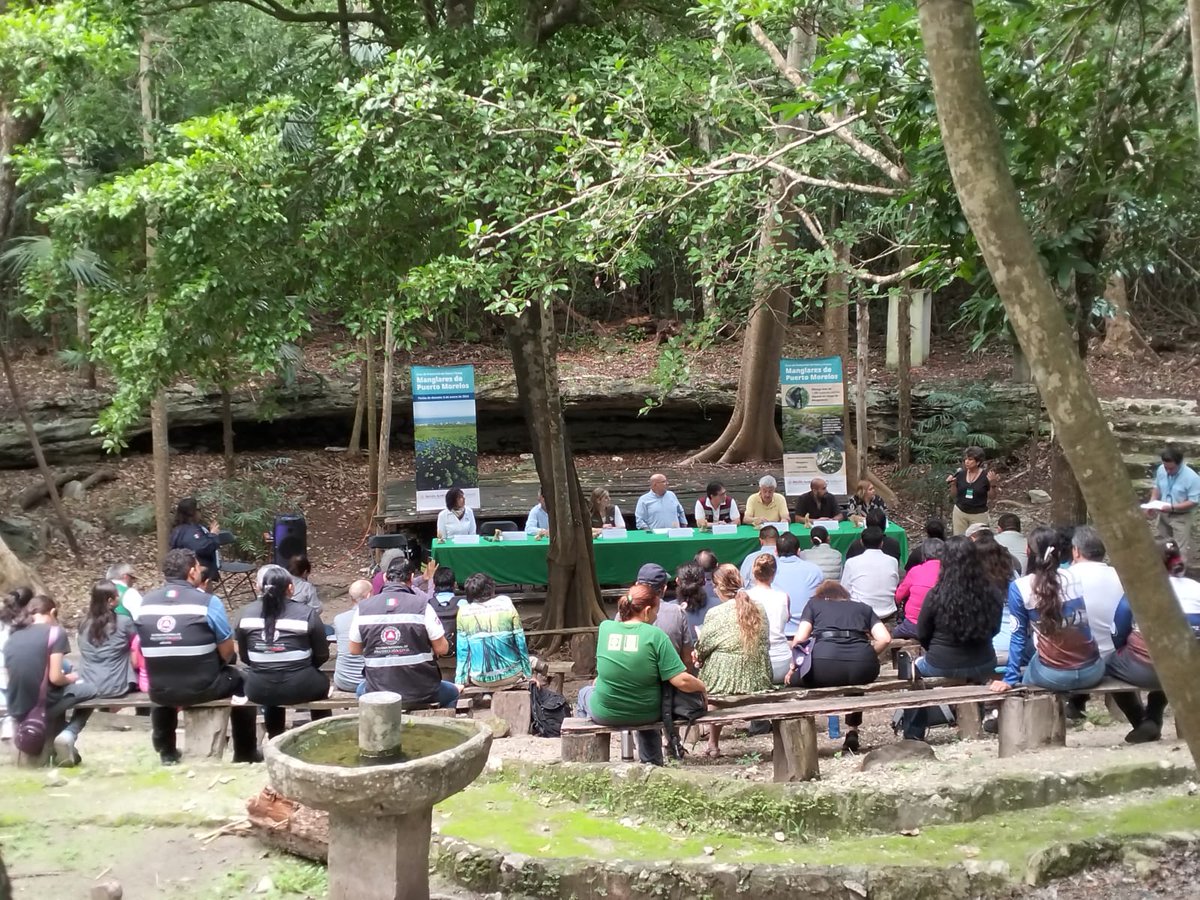 El día de hoy 8 de enero de 2026, tuvimos la oportunidad de participar en el segundo Aniversario del Decreto del Área de Protección de Flora y Fauna Manglares de Puerto Morelos. 💚 Proteger el agua es proteger la vida.
#ManglaresDePuertoMorelos #CONANP  #JardinBotanicoPM
