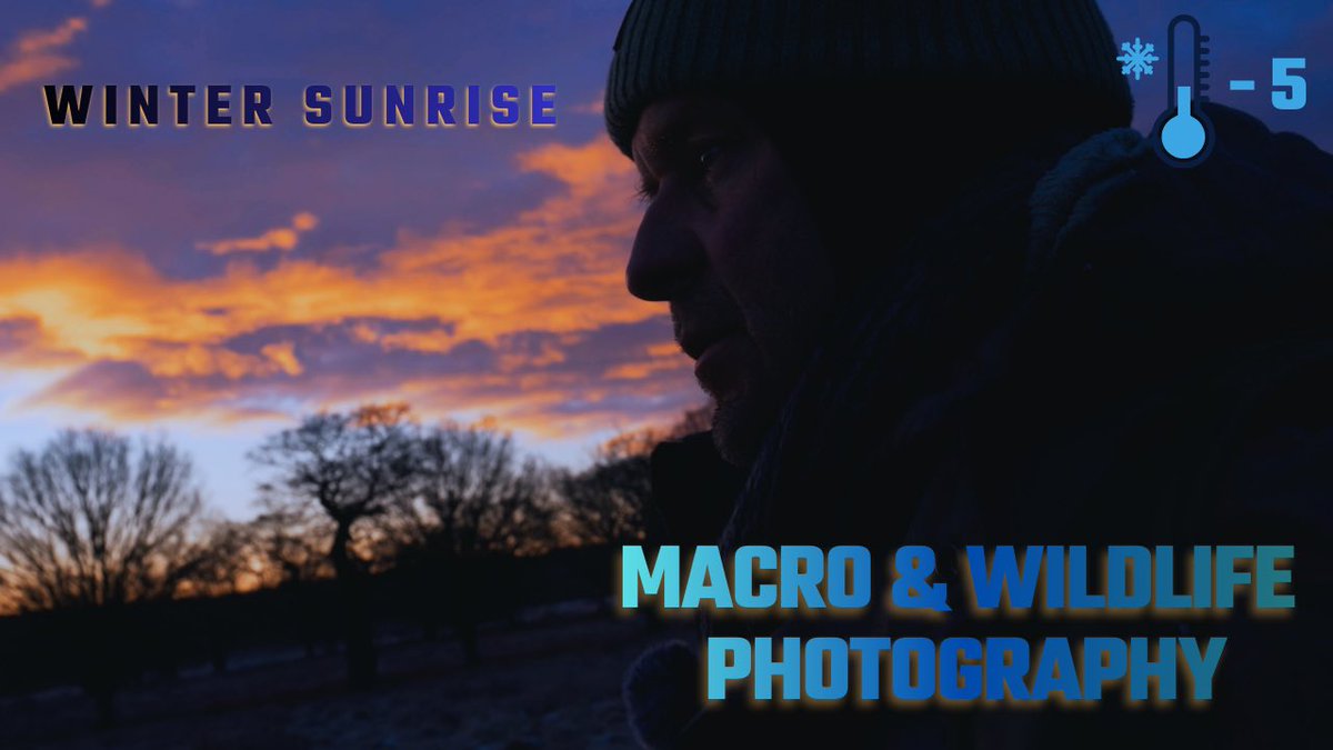 Take 4 1/2 minutes for yourself and escape the craziness of the world. A peaceful walk into a beautiful winter sunrise, with some nature and wildlife photography thrown in for good measure 🙂🙏🏼💚 #tranquility #nature #sunrise #winter

youtu.be/e-u1l_WTjwQ?si…