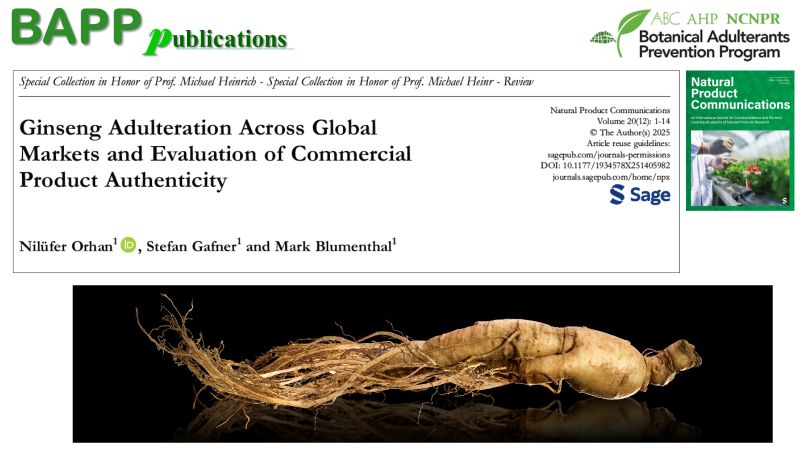 Nilufer Orhan tweet media