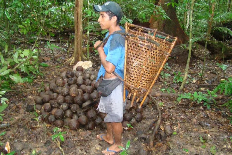Amazônia Latitude tweet media