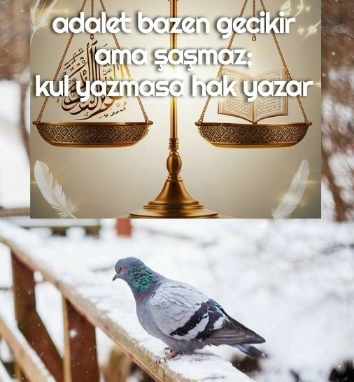 #YarımKalanHayatlarİçinAdalet