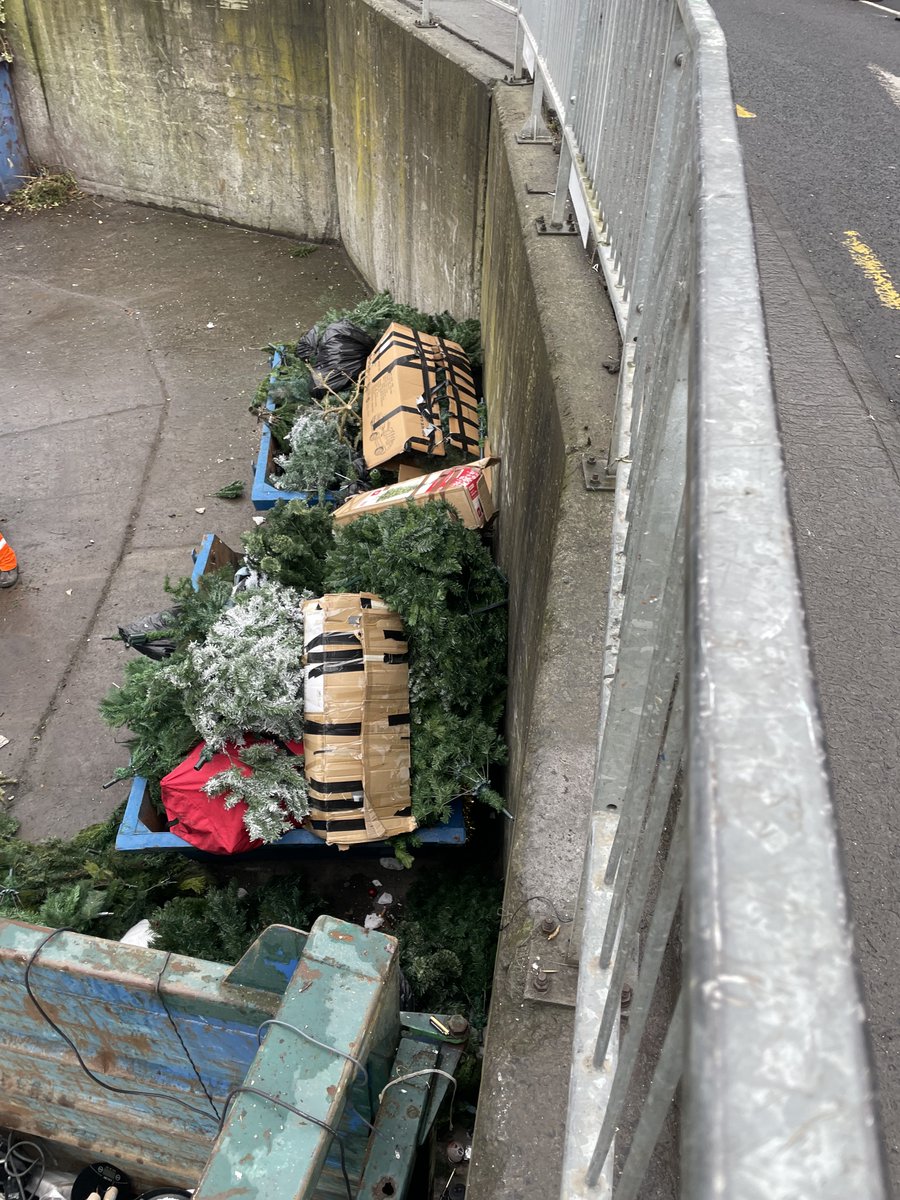 Maïa Dunphy tweet media