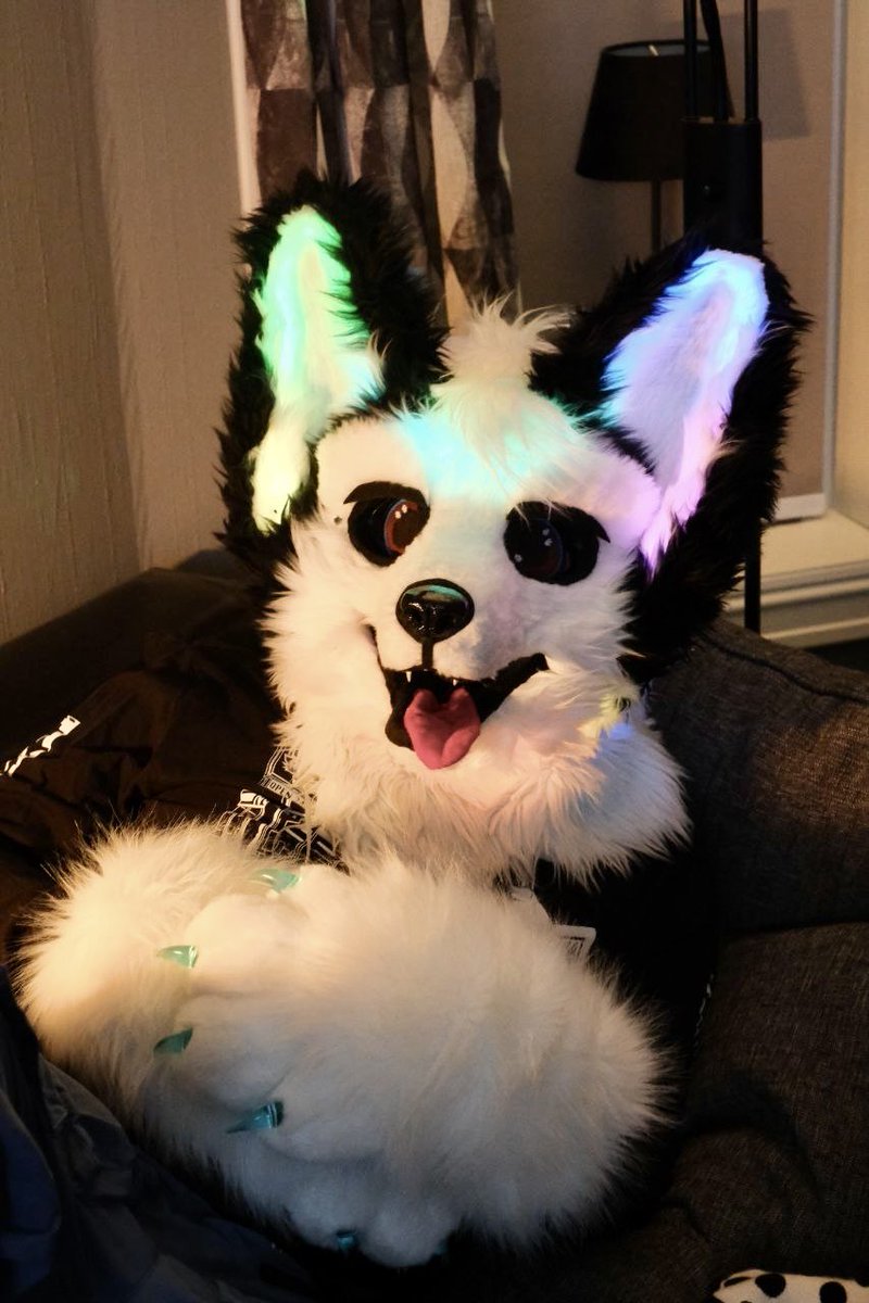 Tobemello tweet media