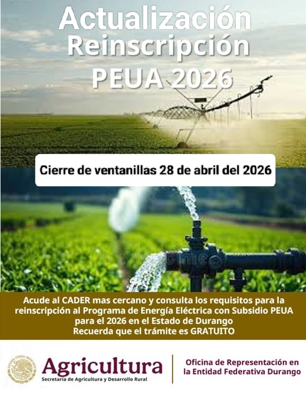 Amigo Productor se amplia el periodo para inscripcipción y reinscripción del PEUA 2026, fecha limite el 28 de abril 2026, acude de inmediato a la Representación de la Secretaria de Agricultura en Durango, DDR ó CADER, ACUDE YA
<a href="/JulioBerdegue/">Julio Berdegué</a> <a href="/ismaelayala7/">Ismael Ayala Salazar</a> Gobierno de México