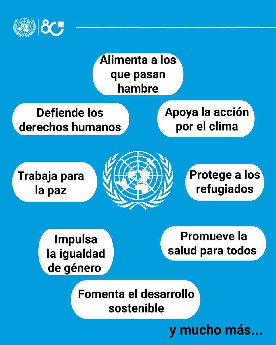 La ONU es el único espacio donde todas las naciones pueden reunirse para afrontar problemas comunes y encontrar soluciones en beneficio de toda la humanidad.

Ante los profundos desafíos actuales, la ONU continúa trabajando para promover la paz, la dignidad y la igualdad en un