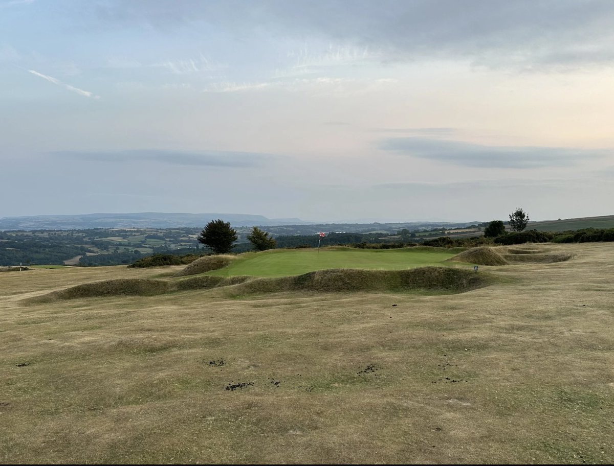 Gray Carlton tweet media