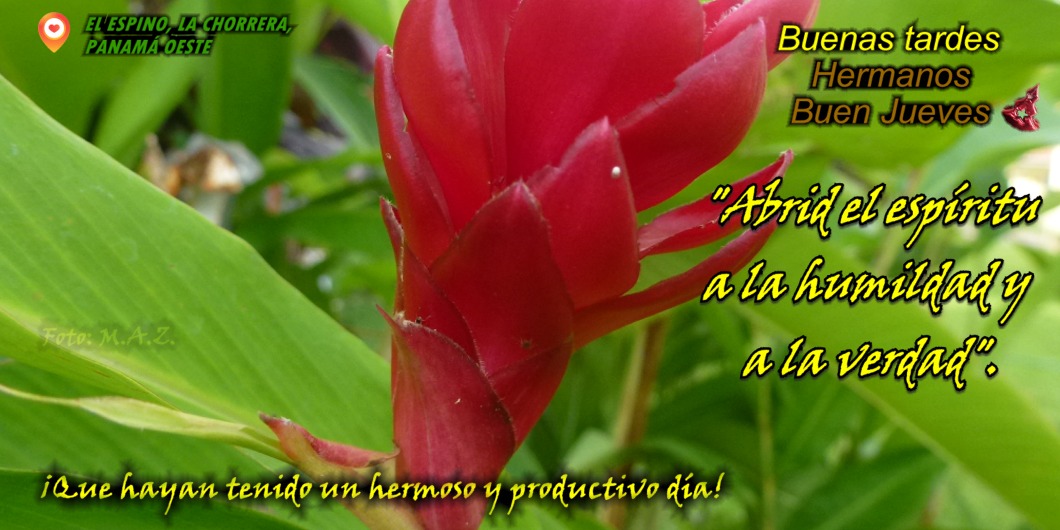 #BuenJueves #FelizAñoNuevo2026 . "Abrid el espíritu a la humildad y a la verdad". Cuídense mucho. 🙏 #Panamá #VivaPanamá 🇵🇦#JuntosporlaPaz 💪