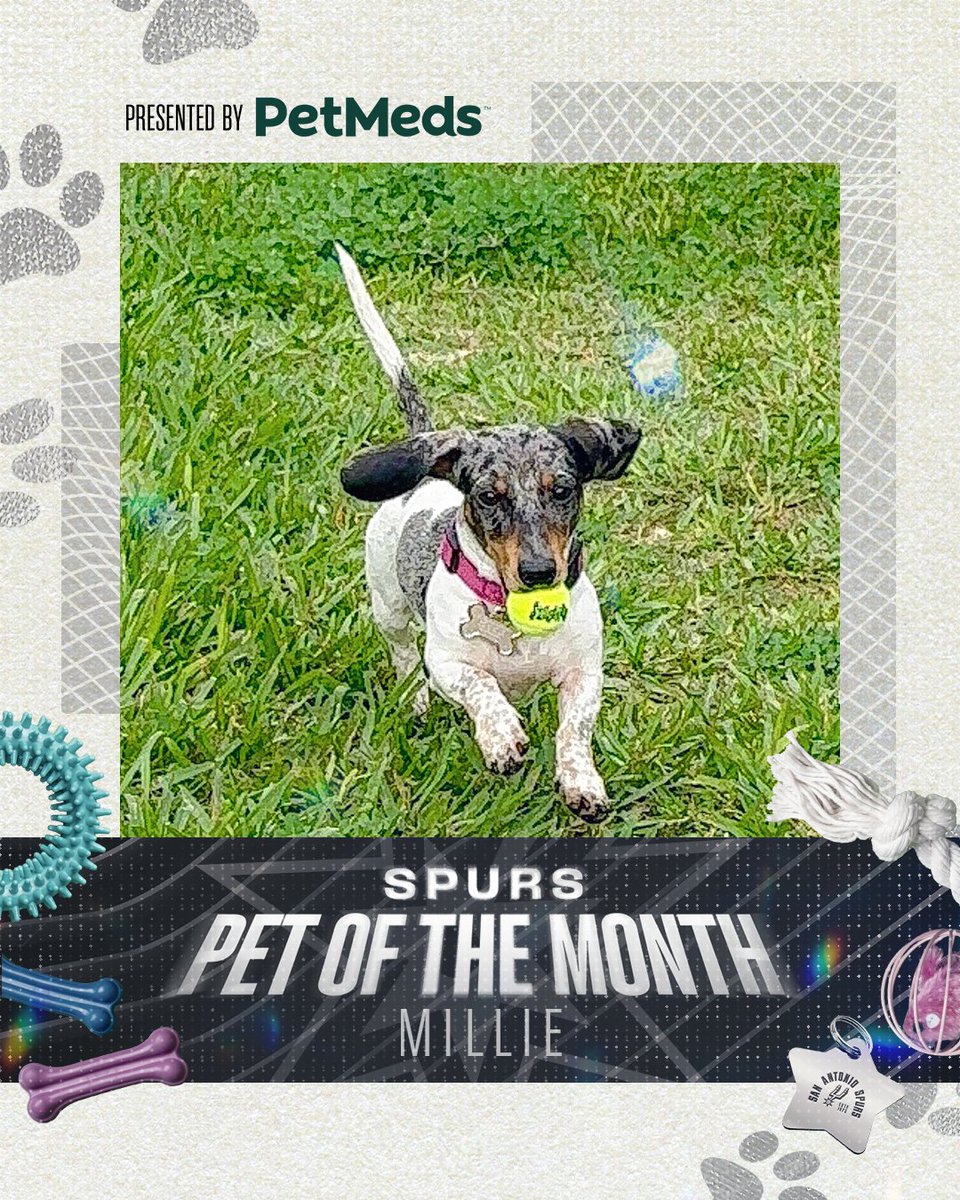 And the pup with the best assist goes to...Millie! 🎾
Next, we're looking for the Best Dressed Pet! Share photos or videos of your fashionistas using #SpursPetoftheMonth for a chance to win a PetMeds prize pack! #sponsored