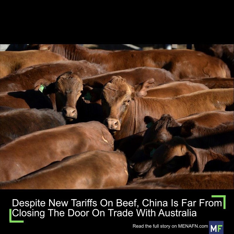 MENAFN's tweet image. Despite New Tariffs On Beef, China Is Far From Closing The Door On Trade With Australia #Despite #Tariffs #Beef, #China #Closing #Door #Trade #Australia #Factory #Output #Production #Appliance #Equipment dlvr.it/TQDst8