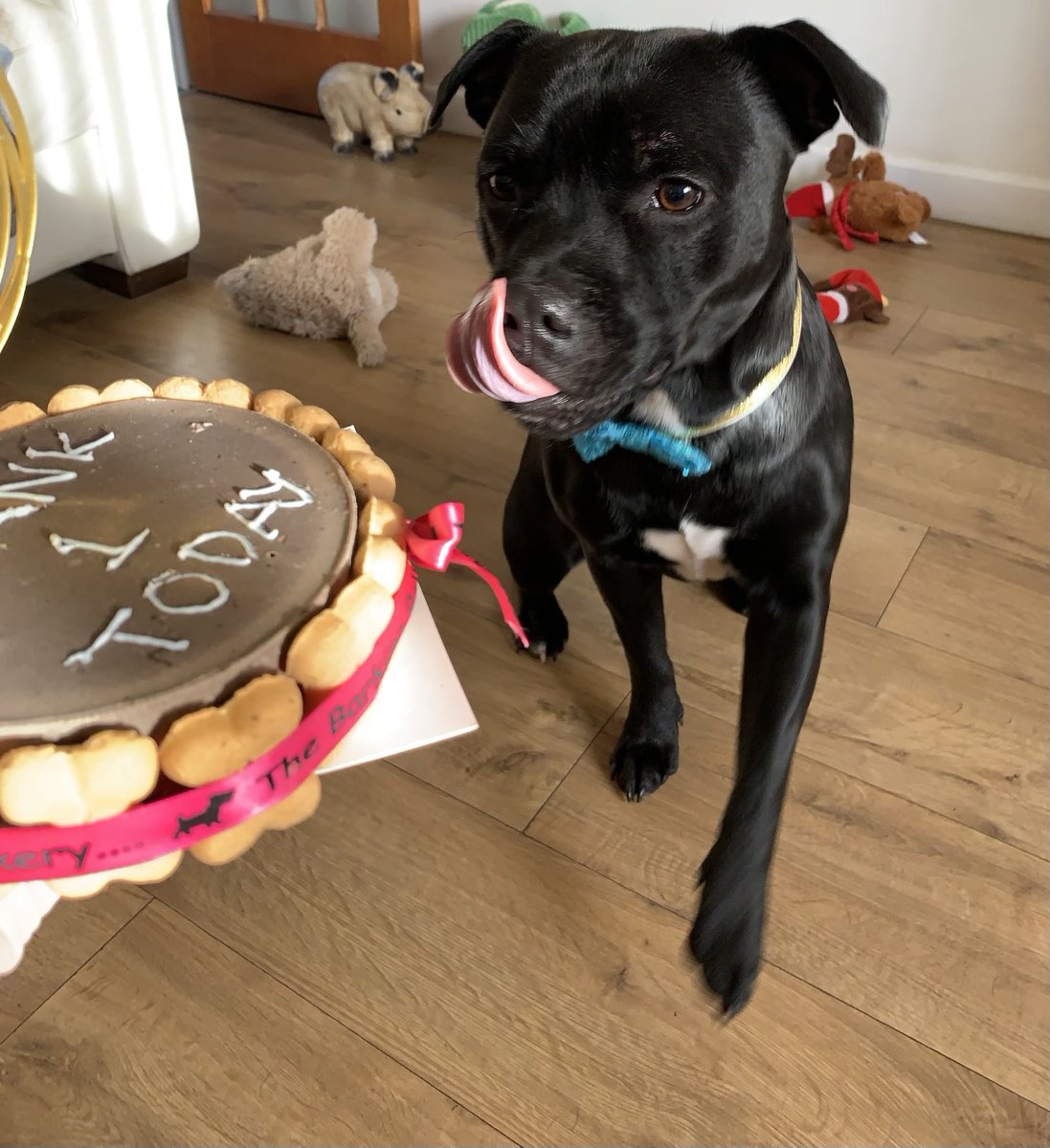 JulesAllenxx's tweet image. #throwbackthursday to my first birthday #frank