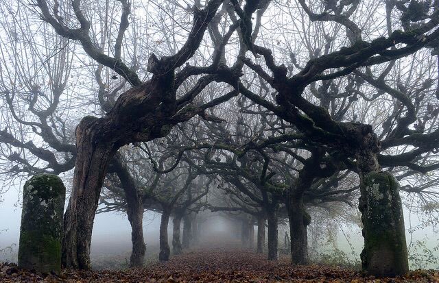 gh0stfacegf's tweet image. let’s take a walk here and never return