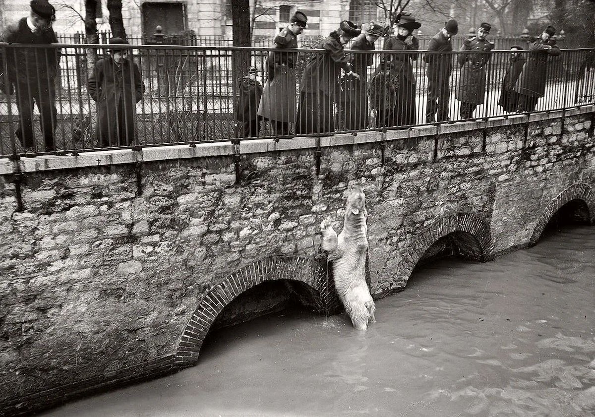 1910: When Paris Flooded

Iconic historical photos: bit.ly/3vlLOd6