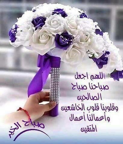 # صلاة_الفجر
✍🏻قال_ﷺ:
" لن يلج النار أحد صلى قبل طلوع الشمس، وقبل غروبها " يعني الفجر والعصر.
صحيح_مسلم ••
قال بعض أهل العلم:
الفجر وقت نوم، والعصر وقت انشغال.
وهما مشهودان يشهدهما ملائكة الليل وملائكة النهار.
ويرفعون فيهما أعمال العباد،. فيغفر له ويدخل الجنة.