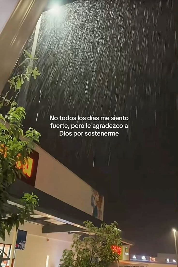 BANDIDOS (@bandidosfrasess) on Twitter photo 