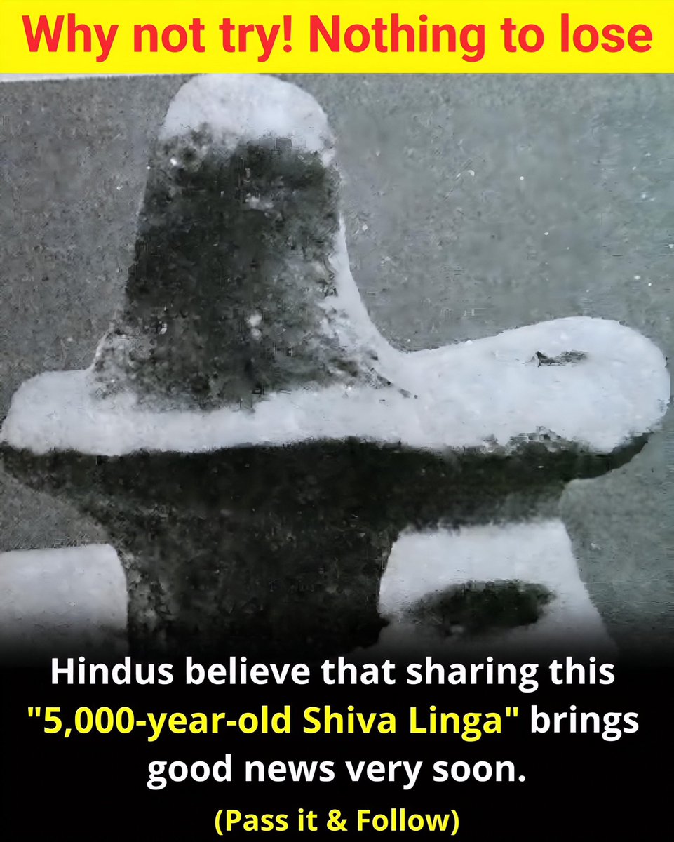 yajnshri's tweet image. 