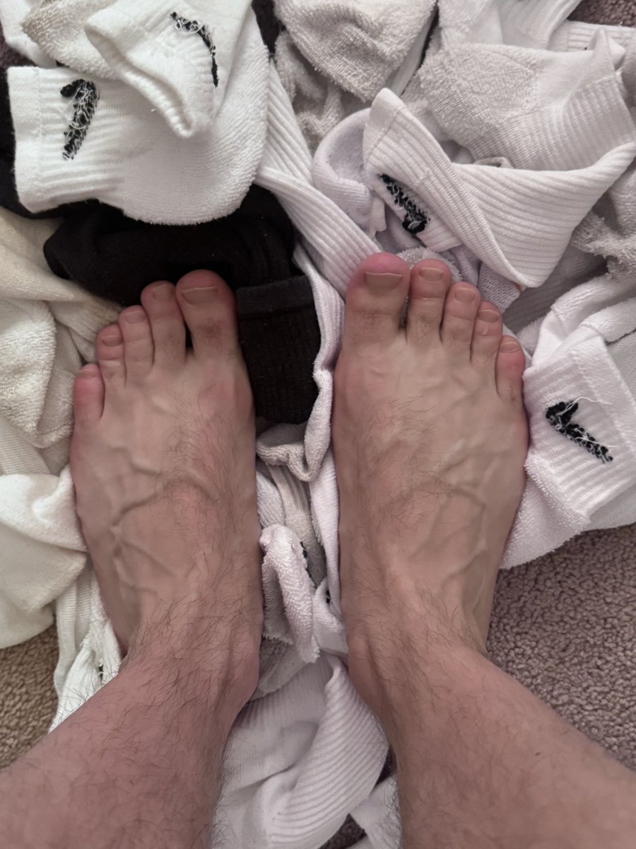 Master Mauls tweet media