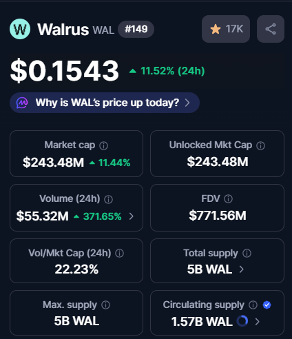 Sui Insiders💧 tweet media