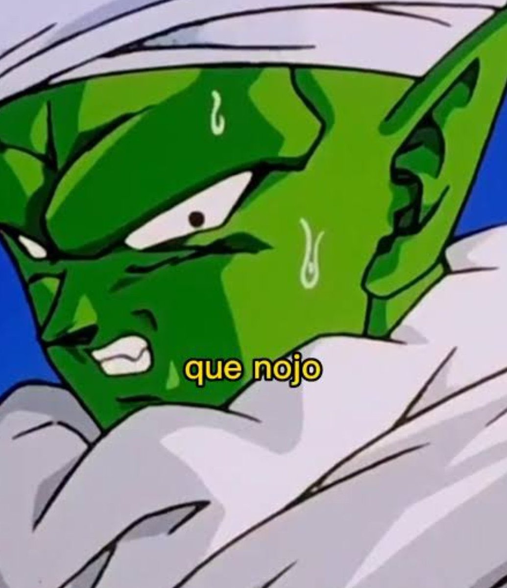 tmocpv's tweet image. O leopardo