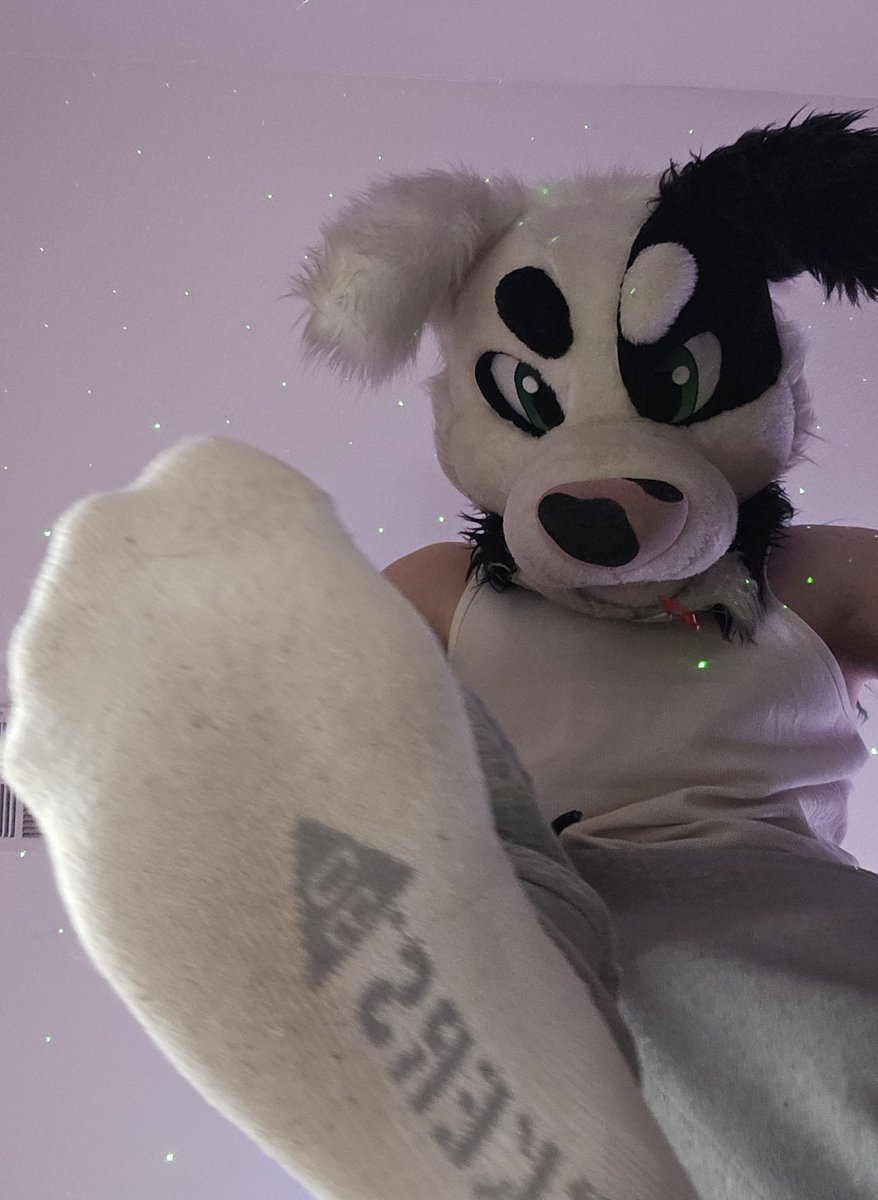 NiallPyroAD's tweet image. You wanna sniff these after my workout, don't you?