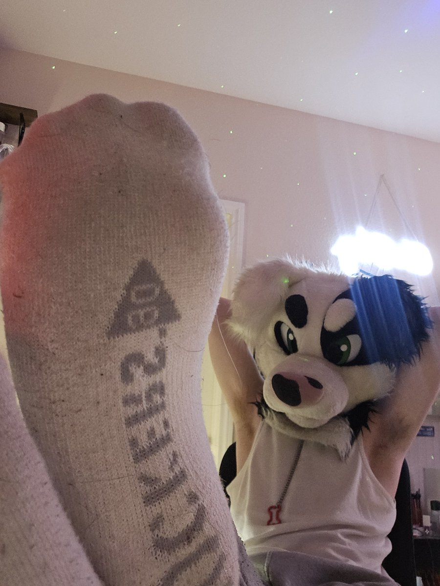 NiallPyroAD's tweet image. Thanks for 100 followers!!! Now get to sniffing.