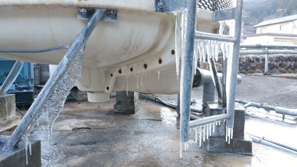 日田市は晴天ですが、今朝も冷え込み、最低気温が今季最低の－5.3℃まで下がりました。構内、#つらら🧊が出来てました。

#今季最低気温 #つらら #老松酒造🍶 #大分 #日田