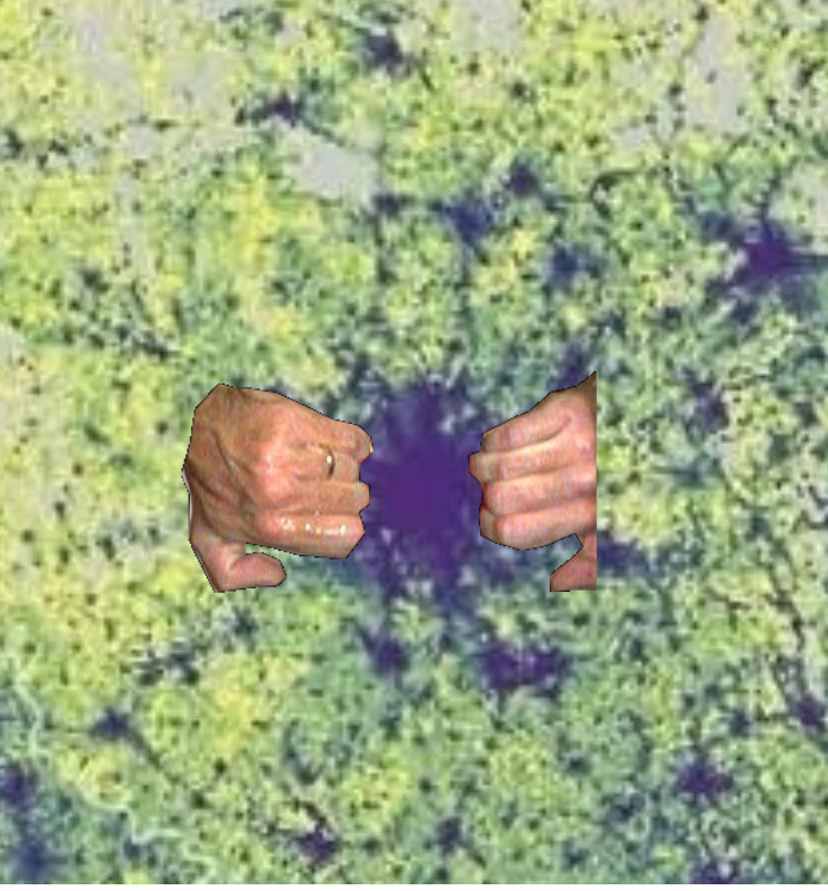 <a href="/atlanticesque/">𝖓𝖎𝖓𝖊 🕯</a>