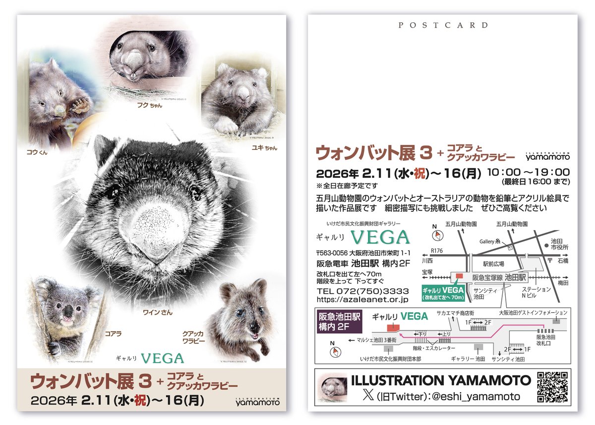 ウォンバット展3のDMハガキができました 皆様のお越しをお待ちしてい
