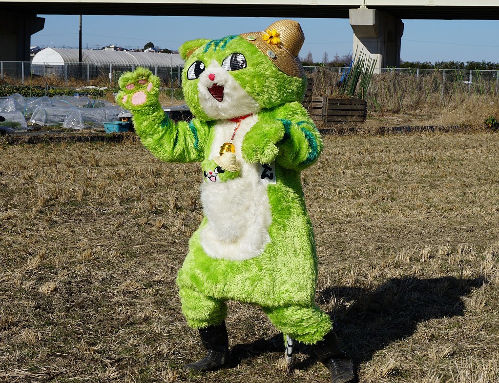 のらねこ 春の新商品】リサ・ラーソンの「スケッチねこたち」のお皿とマグカップ