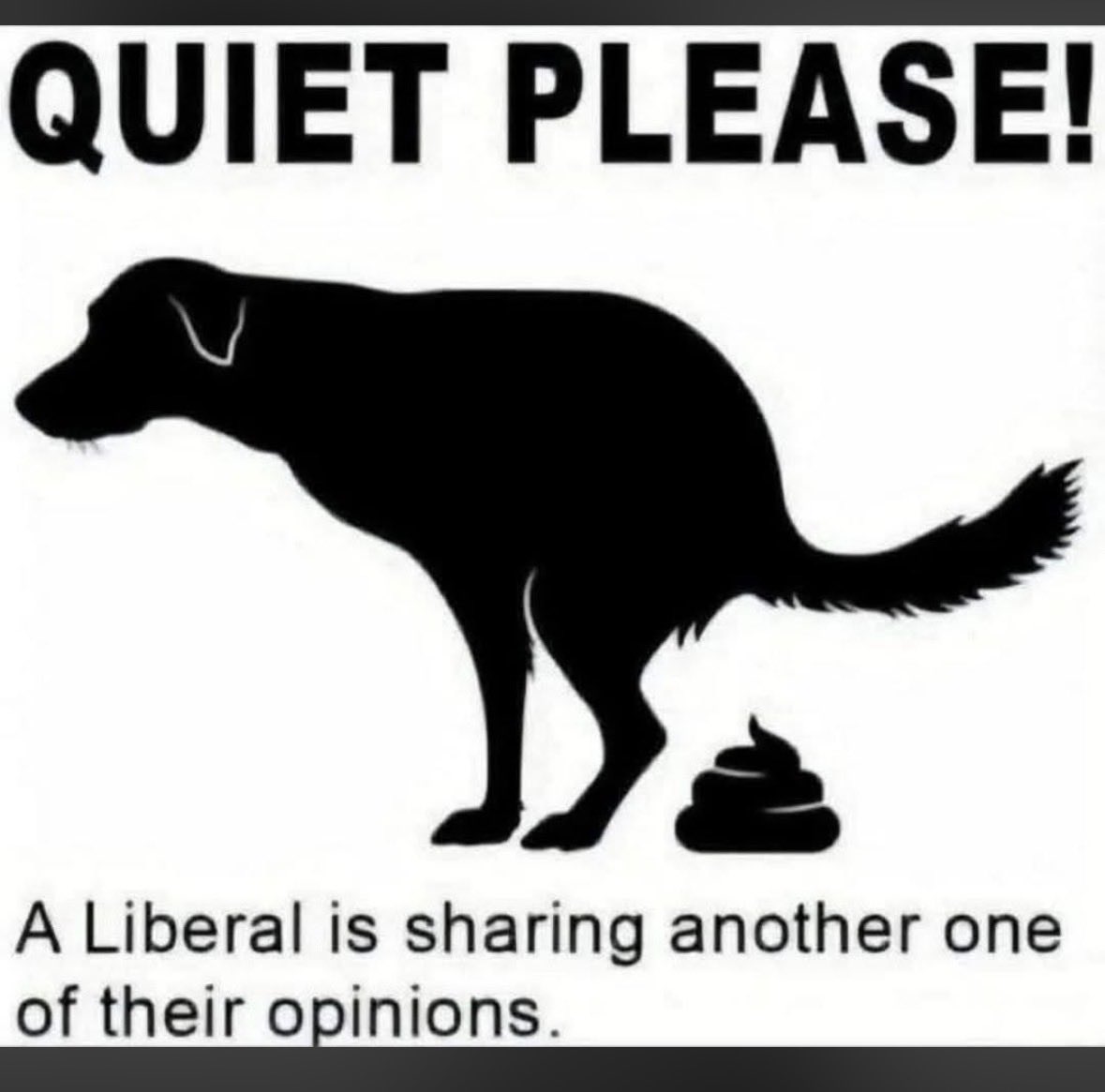 Seeshell tweet media