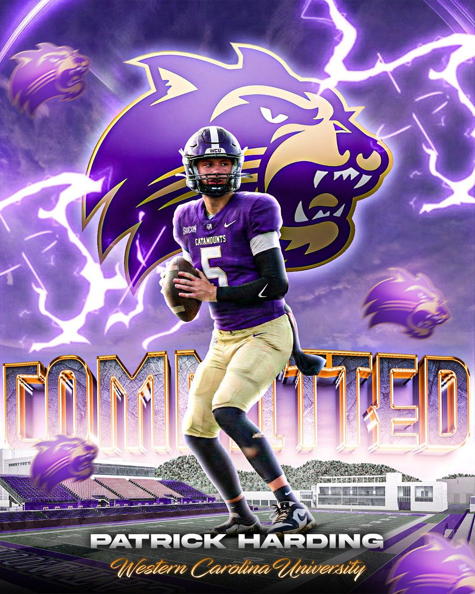 Patrick Harding tweet media