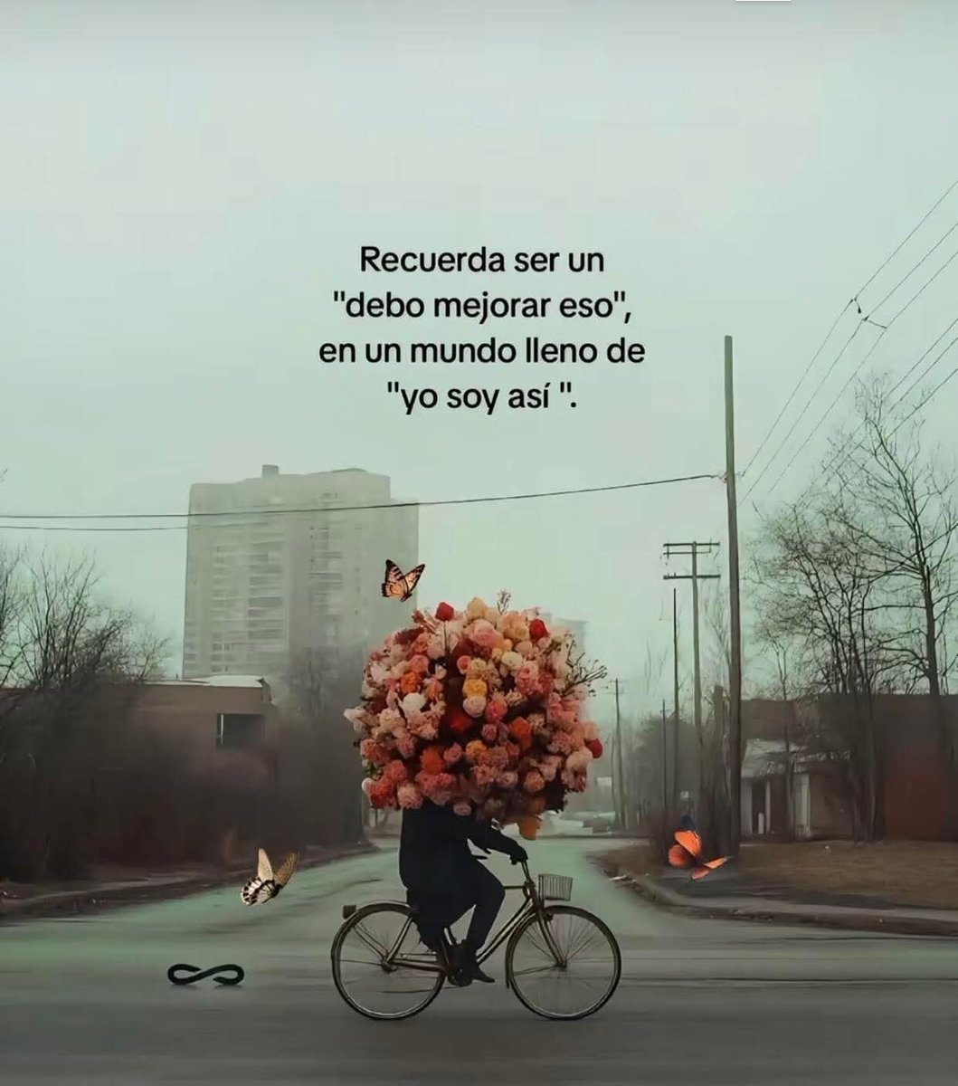 angelo_uf's tweet image. 