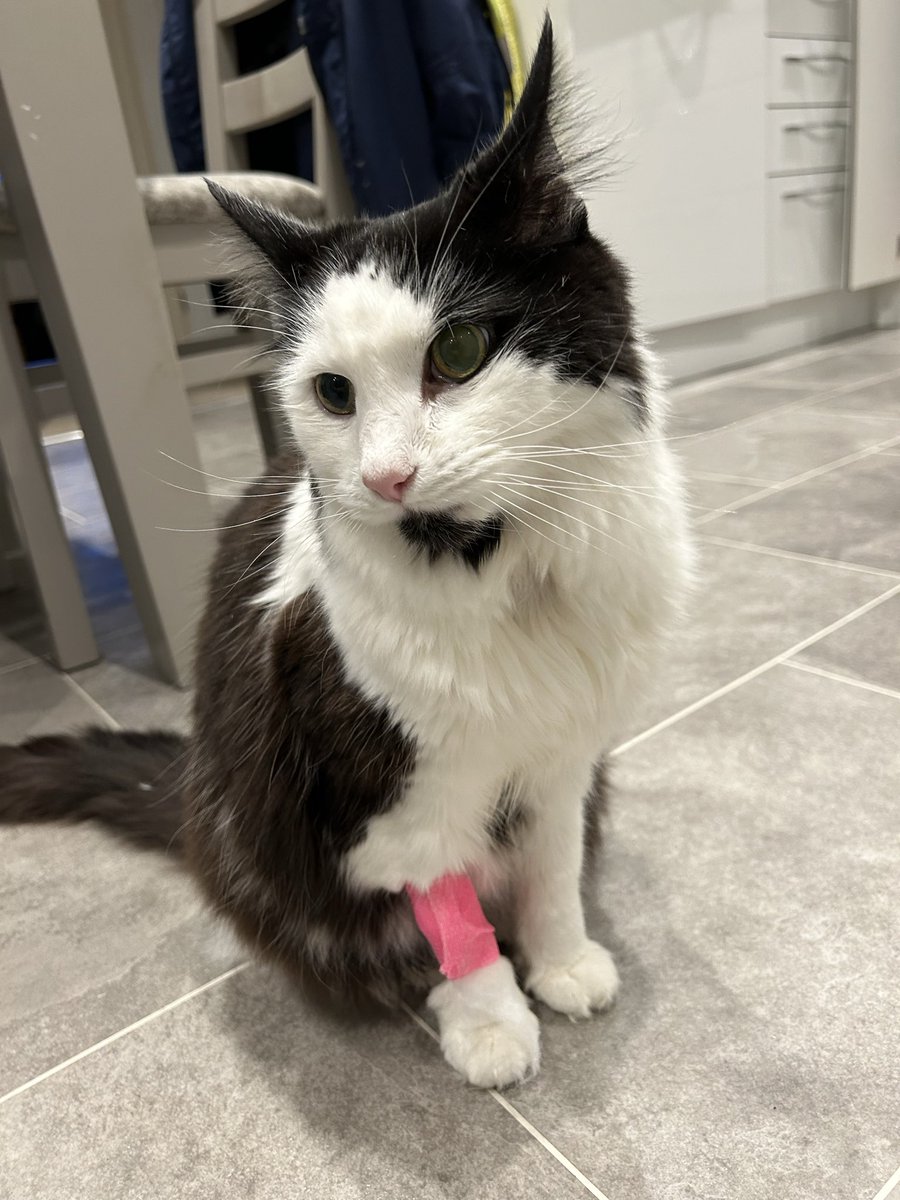 lazys ˚.⁺ tweet media