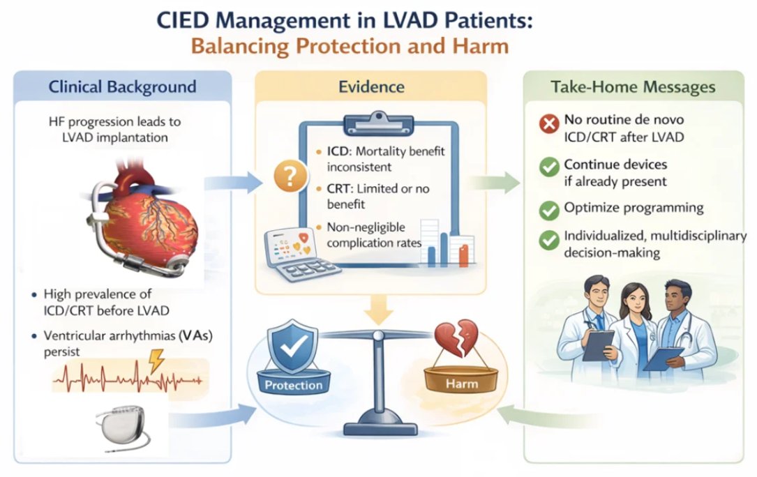 Hearts MDPI tweet media